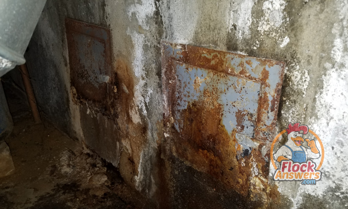 how-to-clean-a-chimney